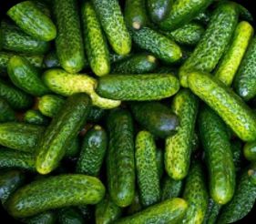 IQF cucumbers