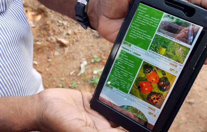 A field officer holding a tablet showing MMEP training material on crop pests in Tamil